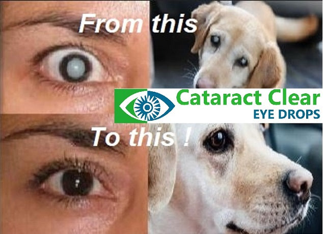 Looking for the strongest, best and proven cataract treating eye drops available? YOU HAVE FOUND THEM! &quot;Cataract Clear&quot; is the brand name of our superb, effective, proven, unique, holistic cataract treating eye drops for people and pets!
